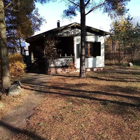 Villa Kamiennikove Kamienniki Exterior foto